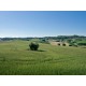 OLD COUNTRY HOUSE IN PANORAMIC POSITION IN LE MARCHE Farmhouse to restore with beautiful views of the surrounding hills for sale in Italy in Le Marche_20
